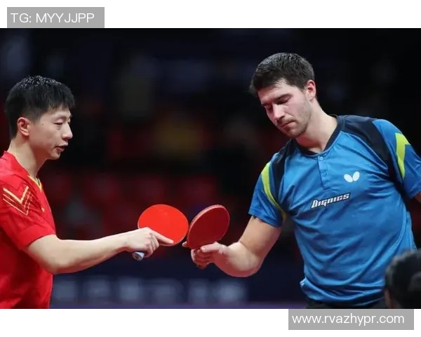 上海乒乓球队选拔赛背后的拼搏故事与奋斗历程揭秘